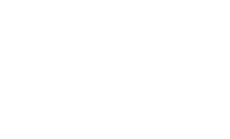 Suzuki Logo