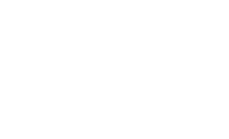 Can-Am Logo
