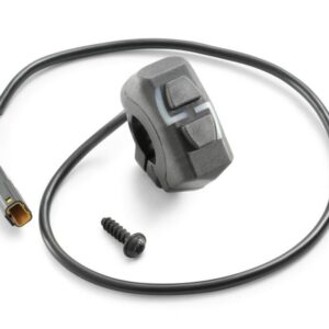 Combination switch